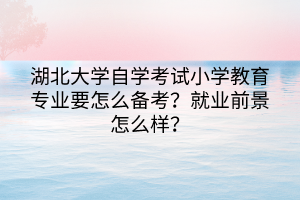 湖北大學(xué)自學(xué)考試小學(xué)教育專業(yè)要怎么備考？就業(yè)前景怎么樣？
