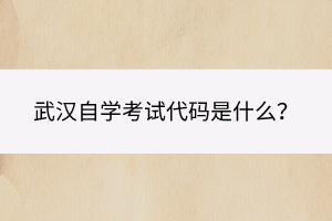 武漢自學考試代碼是什么？