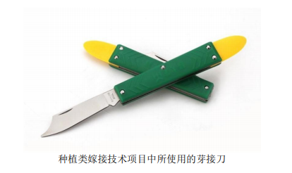 Q2(~NADP[7C6V~9QWFC$[G9 Q2(~NADP[7C6V~9QWFC$[G9