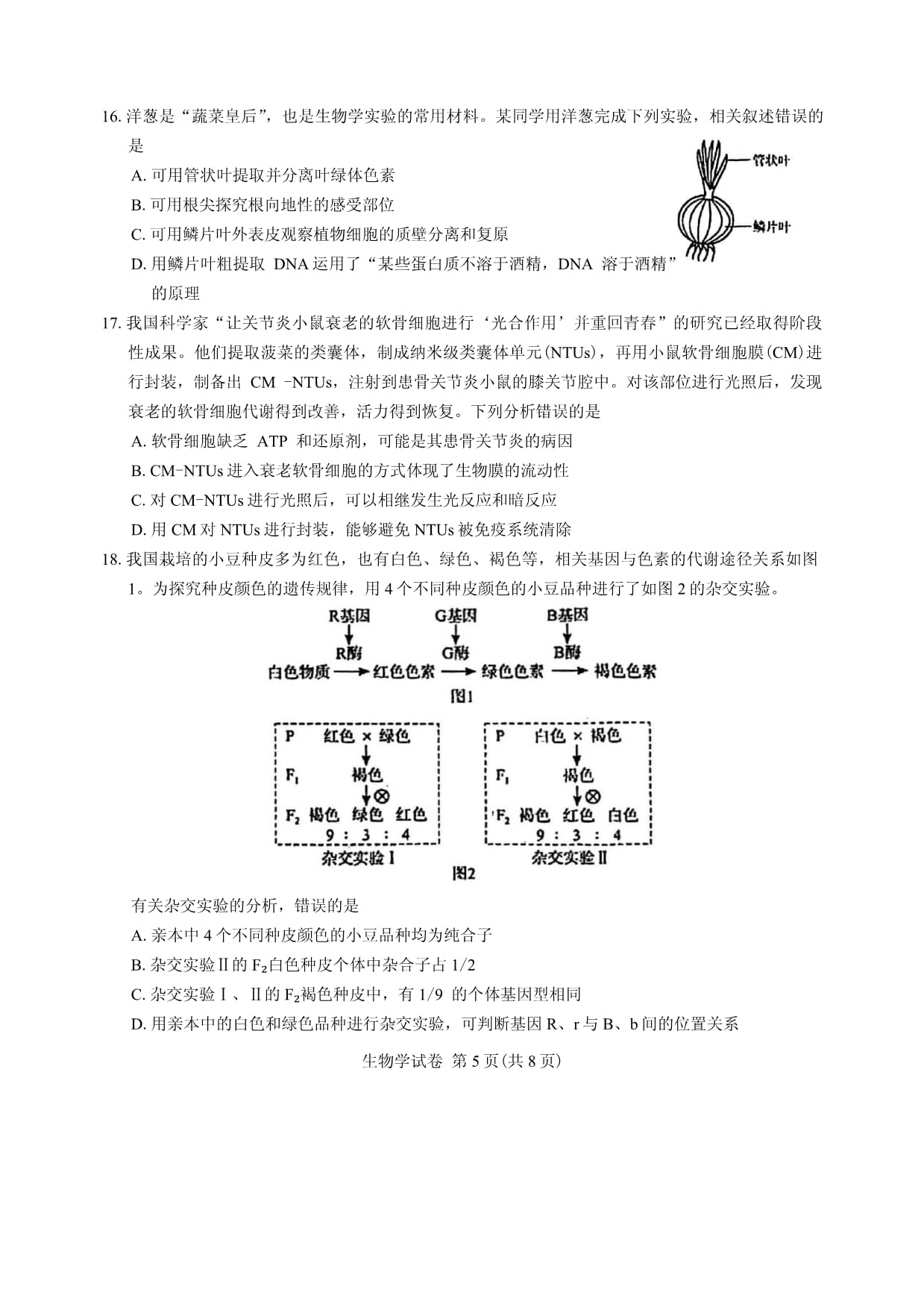 2024湖北高考生物調(diào)研試題及答案 (5)