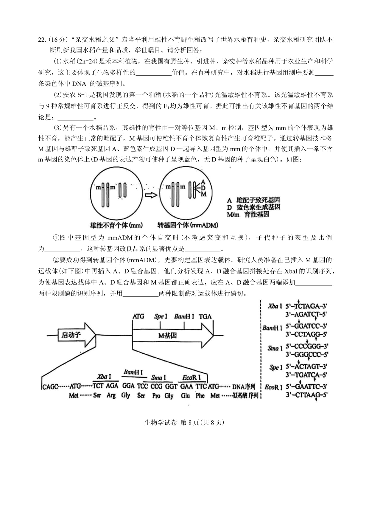 2024湖北高考生物調(diào)研試題及答案 (8)