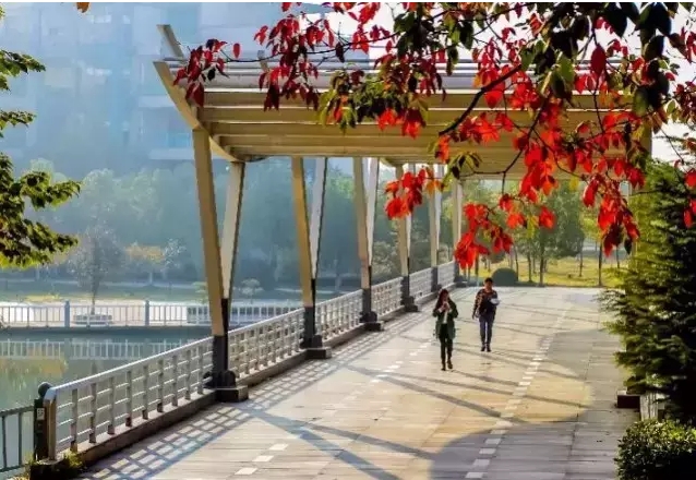 湖北經(jīng)濟學院4