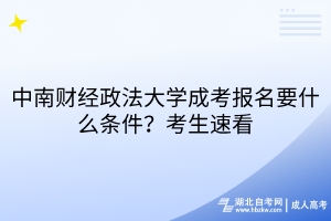 默認標題__2025-03-17+09_05_24