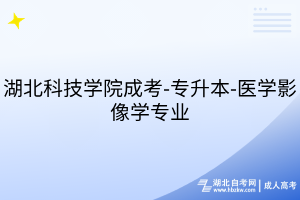 默認標題__2025-07-24+17_49_21
