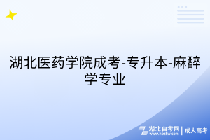 默認(rèn)標(biāo)題__2025-07-29+13_58_25