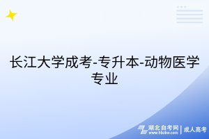 默認(rèn)標(biāo)題__2025-08-04+14_04_19
