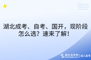 湖北成考、自考、國開，現(xiàn)階段怎么選