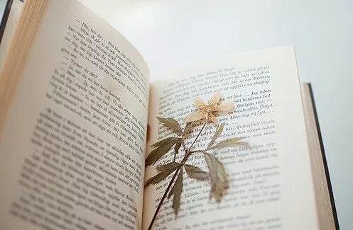 2020年成人高考專升本政治考前沖刺練習(xí)題1