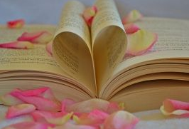 武漢科技大學(xué)成考畢業(yè)證丟失怎么辦？