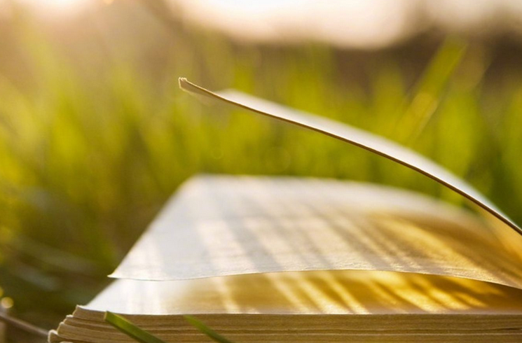 2020年湖北成人高考如何復習才能拿到高分?