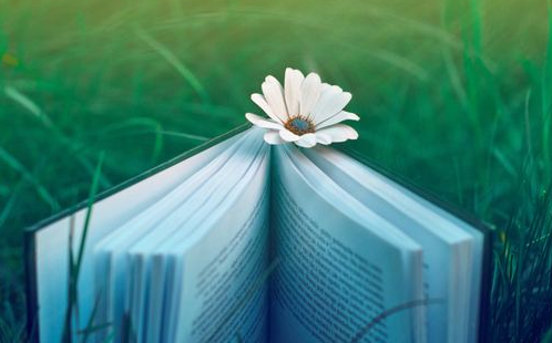 湖北成人高考怎么才能考高分？