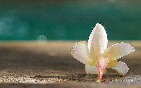 湖北成人高考自學可以通過考試嗎?