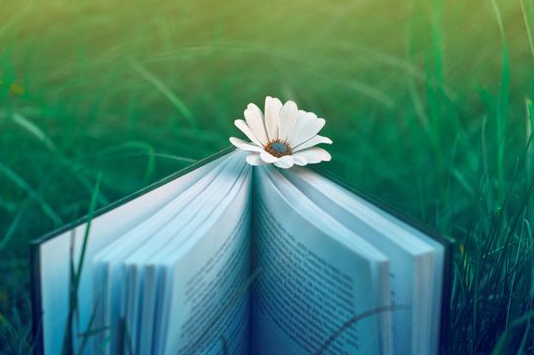 2020年湖北普通專升本文學(xué)常識(shí)積累三