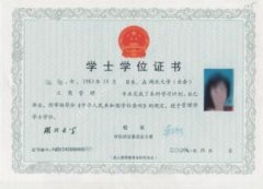 湖北大學成教學位證書樣本