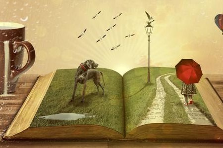 2020年湖北汽車工業(yè)學院普通專升本《計算機軟硬件基礎》考試大綱