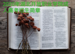 2020年湖北開(kāi)放職業(yè)學(xué)院成人高考招生簡(jiǎn)章