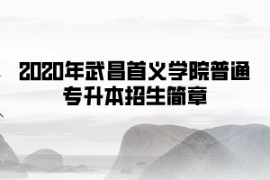 2020年武昌首義學(xué)院普通專升本招生簡章