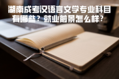 湖南成考漢語言文學(xué)專業(yè)科目有哪些？就業(yè)前景怎么樣？