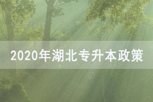 湖北普通專(zhuān)升本補(bǔ)錄政策