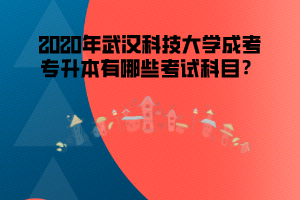 2020年武漢科技大學(xué)成考專升本有哪些考試科目
