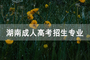 湖南涉外經(jīng)濟(jì)學(xué)院成人高考招生專業(yè)有哪些?