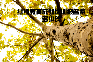 湖北工業(yè)大學(xué)繼續(xù)教育成教培訓(xùn)報名費多少錢