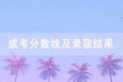 2020年武漢工程大學成人高考錄取分數(shù)線及錄取結(jié)果
