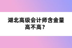 湖北高級會計師含金量高不高?