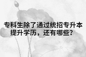 專科生除了通過統(tǒng)招專升本提升學(xué)歷，還有哪些？