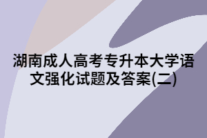 2020年湖南成人高考專(zhuān)升本大學(xué)語(yǔ)文強(qiáng)化試題及答案(二)