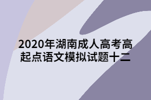 2020年湖南成人高考高起點語文模擬試題十四