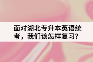 面對湖北專升本英語統(tǒng)考,我們該怎樣復習?
