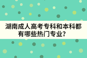湖南成人高考專科和本科都有哪些熱門專業(yè)？