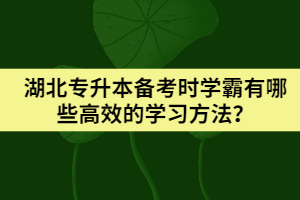 湖北專升本備考時(shí)學(xué)霸有哪些高效的學(xué)習(xí)方法?
