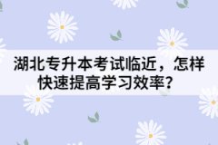 湖北專升本考試臨近,怎樣快速提高學習效率?