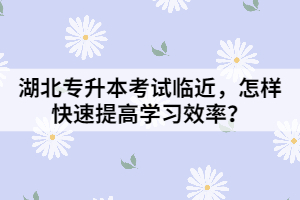 湖北專升本考試臨近,怎樣快速提高學習效率?