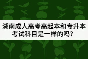 湖南成人高考高起本和專升本考試科目是一樣的嗎？