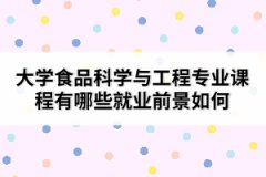 大學(xué)食品科學(xué)與工程專業(yè)課程有哪些就業(yè)前景如何 