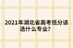 2021年湖北省高考低分該選什么專業(yè)？