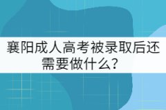 襄陽成人高考被錄取后還需要做什么?
