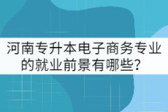 河南專升本電子商務專業(yè)的就業(yè)前景有哪些？