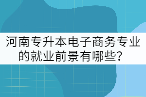 河南專升本電子商務專業(yè)的就業(yè)前景有哪些？