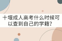 十堰成人高考什么時候可以查到自己的學籍？