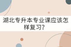 湖北專升本專業(yè)課應(yīng)該怎樣復(fù)習(xí)?