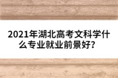 2021年湖北高考文科學什么專業(yè)就業(yè)前景好？