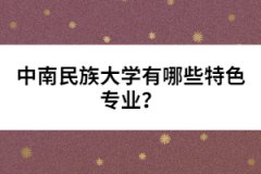 中南民族大學(xué)有哪些特色專業(yè)？