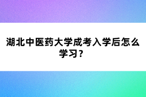湖北中醫(yī)藥大學(xué)成考入學(xué)后怎么學(xué)習(xí)？