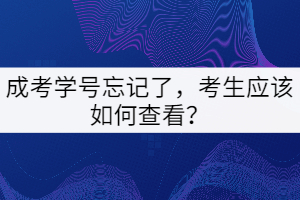 成考學(xué)號(hào)忘記了,考生應(yīng)該如何查看?