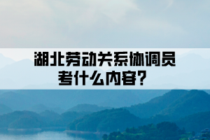 湖北勞動關(guān)系協(xié)調(diào)員考什么內(nèi)容?