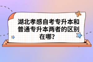 湖北孝感自考專升本和普通專升本兩者的區(qū)別在哪?